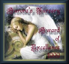 Award of Excellence 1999